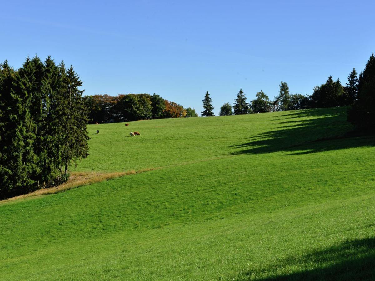 Holiday In The Sauerland Region In Unique Location Willingen  Bagian luar foto